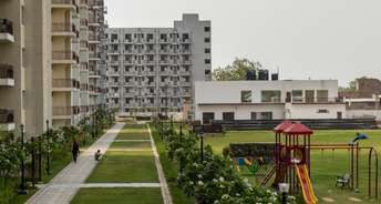 3 BHK Apartment For Resale in MGH Mulberry County Sector 70 Faridabad 6235383