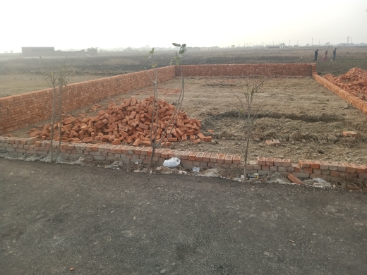 Plot For Resale in Jewar Greater Noida  6235669