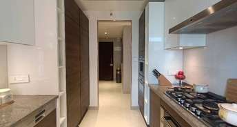 1 BHK Apartment For Resale in Ashar Maple Birch Mulund West Mumbai 6231651