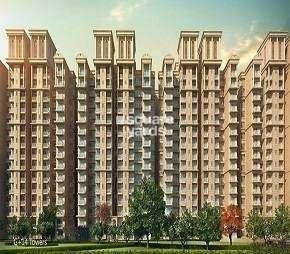 3 BHK Apartment For Resale in Signature Global The Millennia Phase 1 Sector 37d Gurgaon 6236345