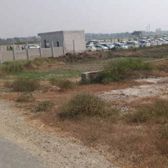 Plot For Resale in Jewar Greater Noida  6236818