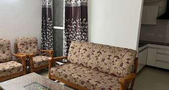 2 BHK Apartment For Rent in Gazipur Zirakpur 6236746