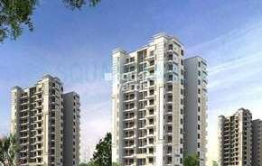 4 BHK Apartment For Resale in Tulip Purple Sector 69 Gurgaon 6238281