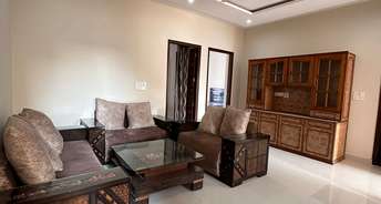 1 BHK Apartment For Rent in Kharar Landran Road Mohali 6239511