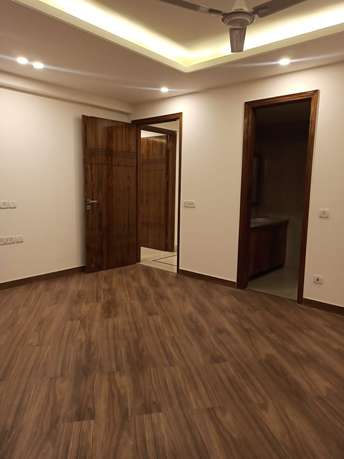 4 BHK Builder Floor For Rent in Saket Delhi 6239747