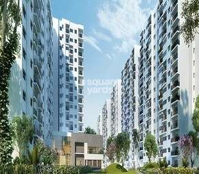 2 BHK Apartment For Rent in Godrej Avenues Yelahanka Bangalore 6239778