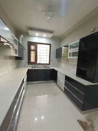 3 BHK Builder Floor For Rent in Sector 56 Gurgaon 6239953