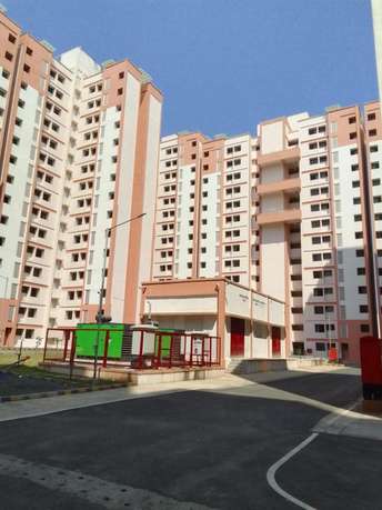 1 BHK Apartment For Rent in Dhanashree CHS Taloja Taloja Navi Mumbai 6240348