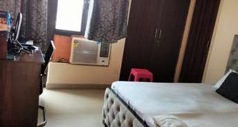 3 BHK Apartment For Rent in JNC Greenwoods Vasundhara Sector 6 Ghaziabad 6240734