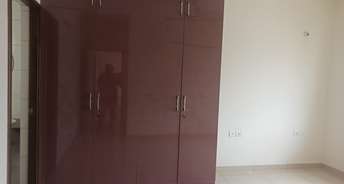 2 BHK Apartment For Rent in Panathur Bangalore 6240771