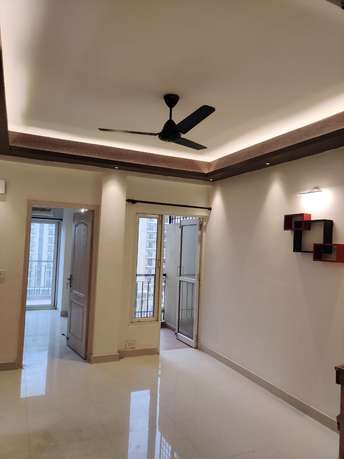 1 BHK Apartment For Rent in Maxblis Grand Kingston Sector 75 Noida 6241055