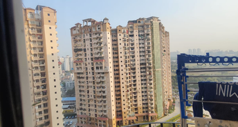 3 BHK Apartment For Resale in Amrapali Sapphire Phase II Sector 45 Noida 6241539
