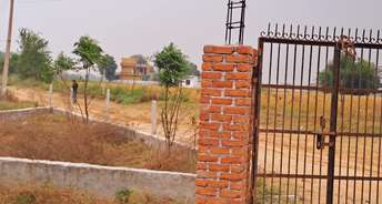  Plot For Resale in CDR Green City New Industrial Township Faridabad 6241590