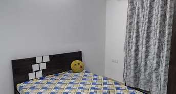 3.5 BHK Apartment For Rent in Gaurav Apartment Balewadi Balewadi Pune 6242008