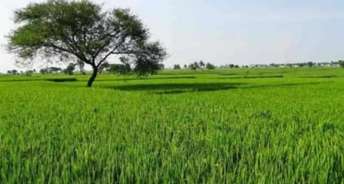 Commercial Land 40 Acre For Resale In Shahabad Barara Road Kurukshetra 6242502