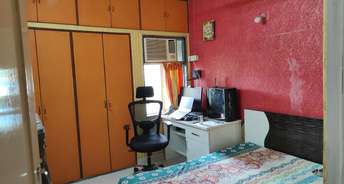 1 BHK Apartment For Rent in Kachnar CHS Vasant Vihar Vasant Vihar Thane 6242673