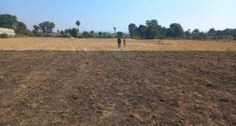  Plot For Resale in Bhopal Sultania Infantry Bhopal 6242798