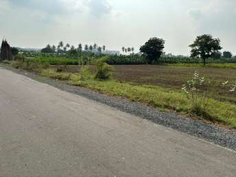  Plot For Resale in Vijayawada One Town Vijayawada 6242806