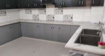 3 BHK Builder Floor For Rent in Gn Sector Delta ii Greater Noida 6242972