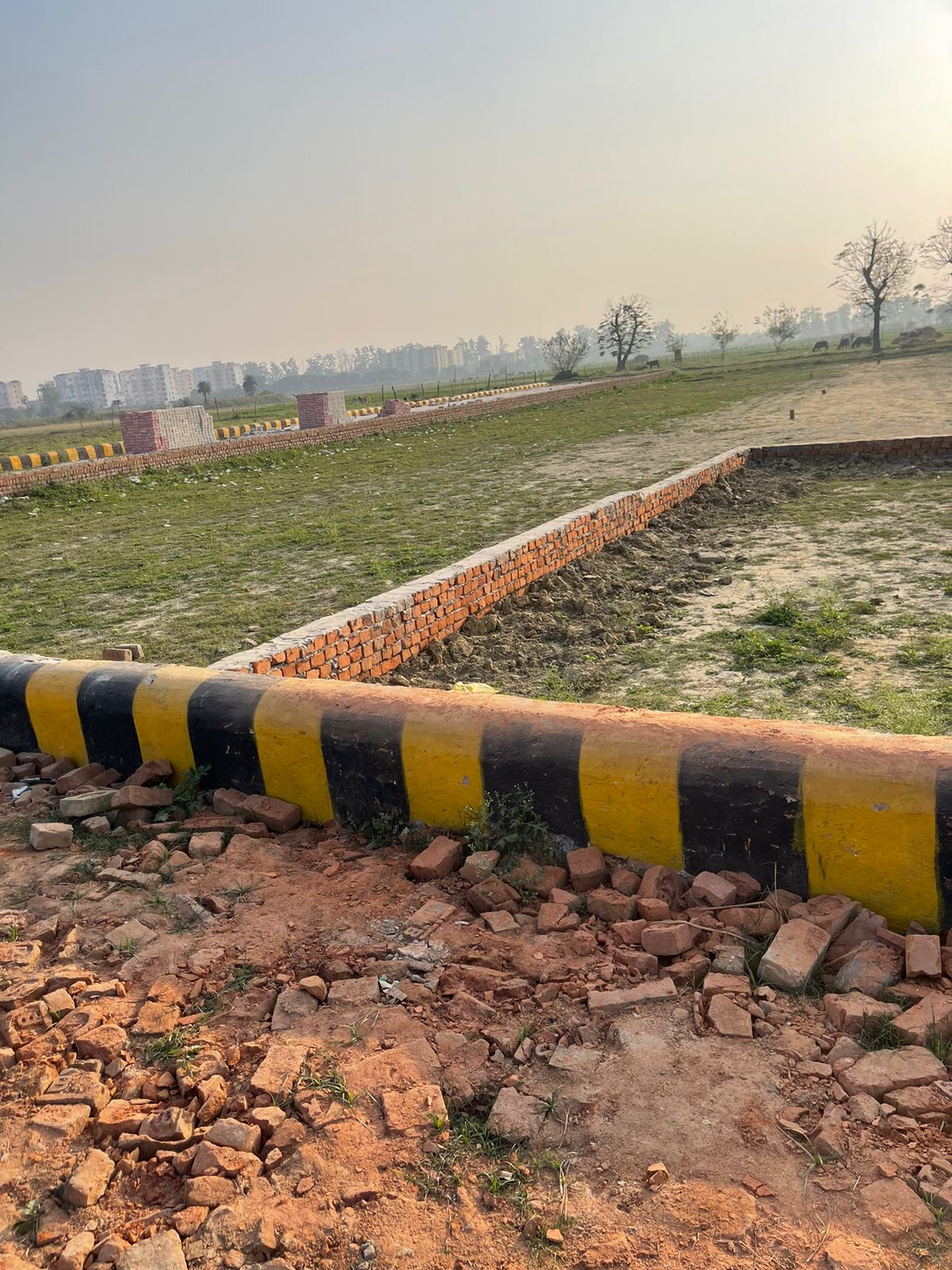 Plot For Resale in Faizabad Road Lucknow  6243011