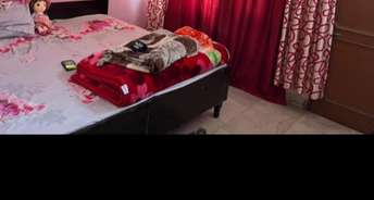 Pg For Girls In Sector 15 Panchkula 6244812