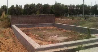  Plot For Resale in Gn Sector Alpha ii Greater Noida 6245151