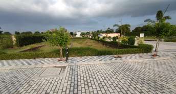  Plot For Resale in Sector 83 Faridabad 6245564