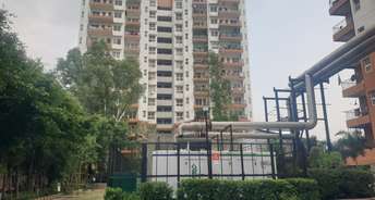 3 BHK Builder Floor For Resale in Sector 15 Bahadurgarh 6245661