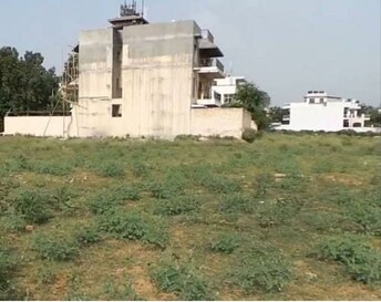 Plot For Resale in Sector 52 Gurgaon  6245862