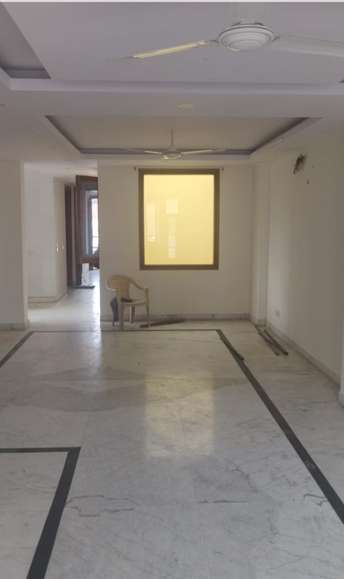 3 BHK Builder Floor For Rent in Punjabi Bagh West Delhi 6245897