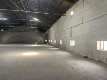 Commercial Warehouse 16000 Sq.Ft. For Rent In Amausi Lucknow 6245947