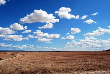  Plot For Sale in Dholera