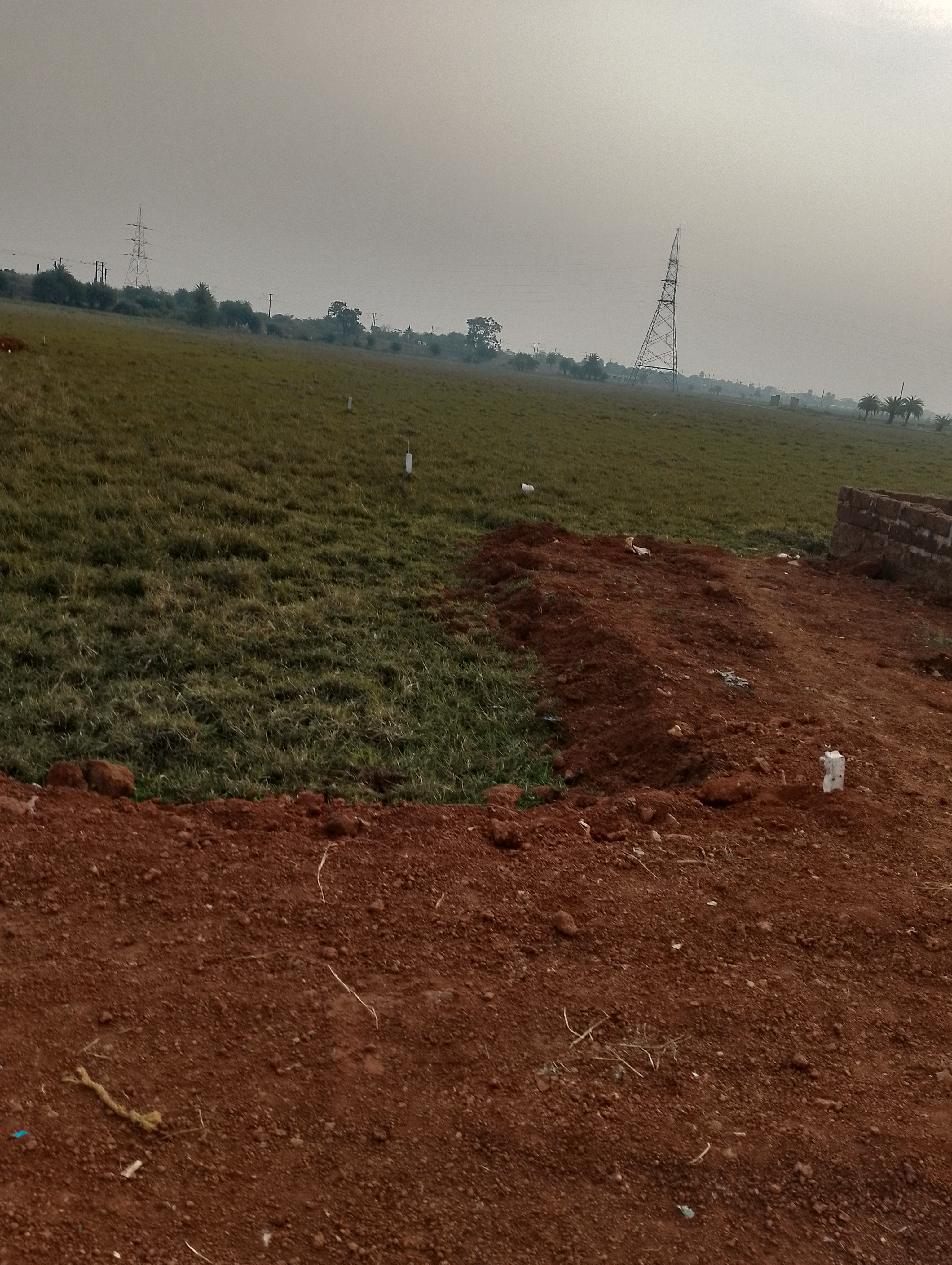 Plot For Resale in Jatni Road Bhubaneswar  6246987