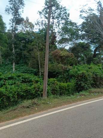 Commercial Land 1 Acre For Resale In Madikeri Coorg 6247096