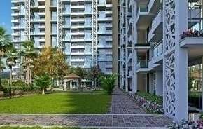 3 BHK Apartment For Resale in Rise Skybungalows Sector 41 Faridabad 6247417