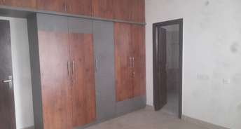 3 BHK Apartment For Rent in LDA Parijaat Apartments Faizabad Road Lucknow 6248098