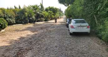  Plot For Resale in Knowledge Park iv Greater Noida 6248769