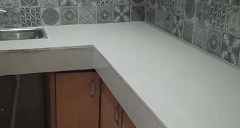 1 RK Builder Floor For Rent in Katwaria Sarai Dda Flats Katwaria Sarai Delhi 6248824