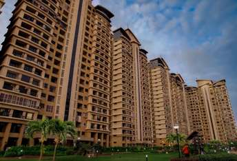 2 BHK Apartment For Rent in K Raheja Interface Heights Malad West Mumbai 6249092
