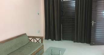 2 BHK Builder Floor For Rent in RWA Residential Society Sector 46 Sector 46 Gurgaon 6249381