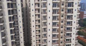 2 BHK Apartment For Resale in Pivotal Paradise Sector 62 Gurgaon 6249651