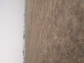 Commercial Industrial Plot 1600 Sq.Yd. For Resale In Sikri Faridabad 6249865