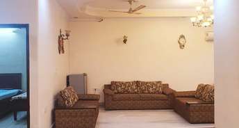 6+ BHK Independent House For Resale in Sector 20 Noida 6250319