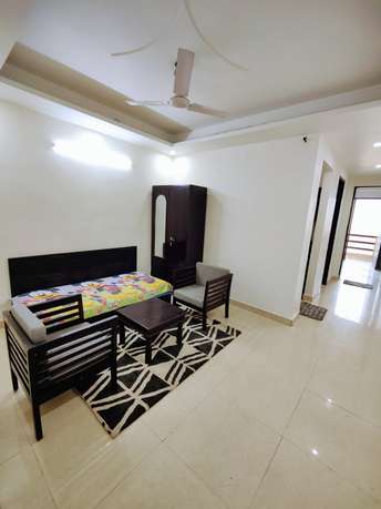 1 BHK Builder Floor For Rent in Dlf City Phase 3 Gurgaon 6250871