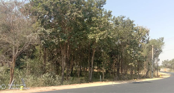 Commercial Land 1000 Sq.Yd. For Resale In Mulug Hyderabad 6251059