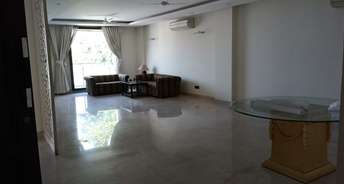 3.5 BHK Apartment For Rent in RWA Hauz Khas Hauz Khas Delhi 6251067