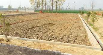  Plot For Resale in Core City Plot Dasna Ghaziabad 6251130