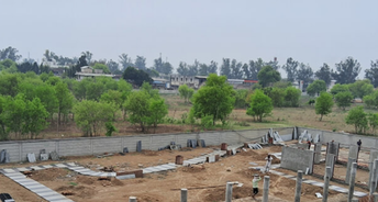  Plot For Resale in Sector 40 Panipat 6251353