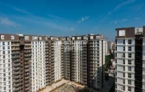 3 BHK Apartment For Rent in SJR WaterMark Harlur Bangalore 6251371