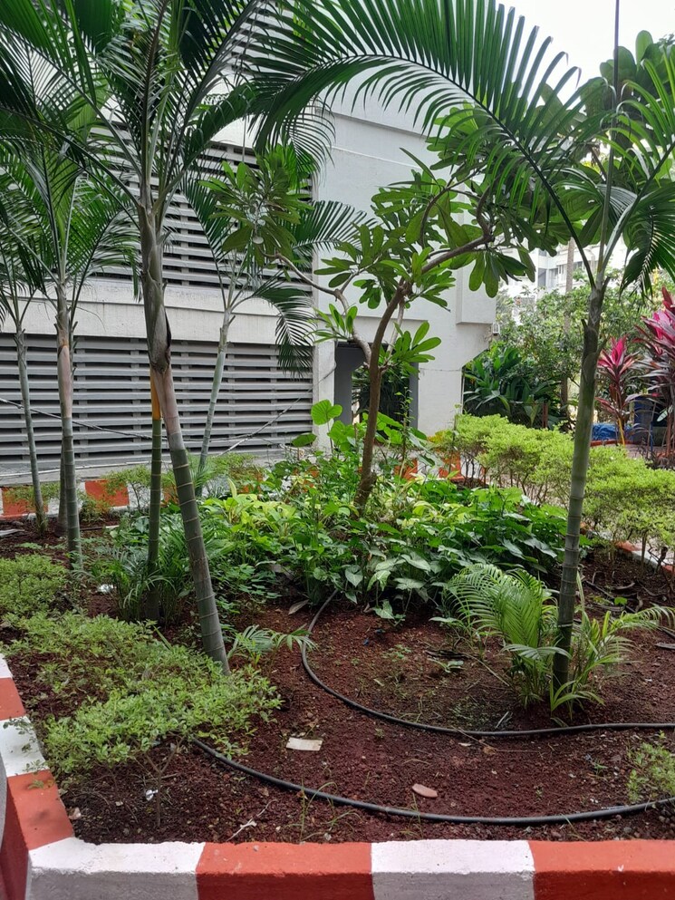 Garden, tarapore-gardens 2 Bedroom 850 Sq.Ft. Apartment In Andheri West Mumbai 6251526